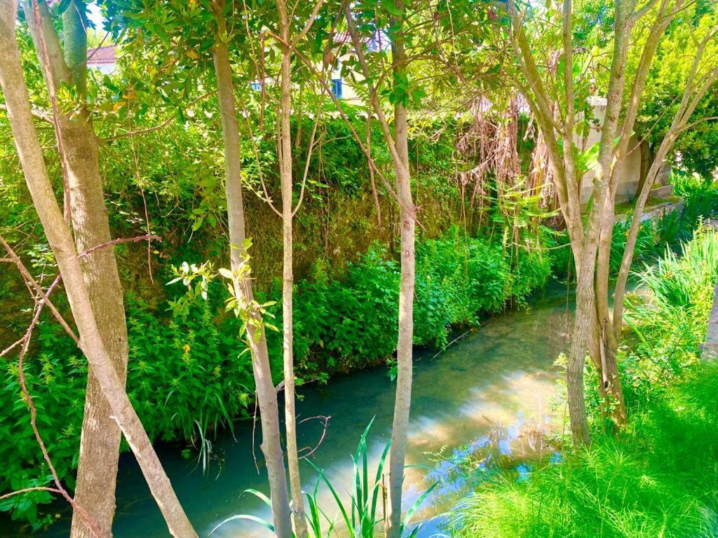 Domaine D'Ella Jourre Apartment Canet  Luaran gambar